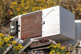 dumped fridges